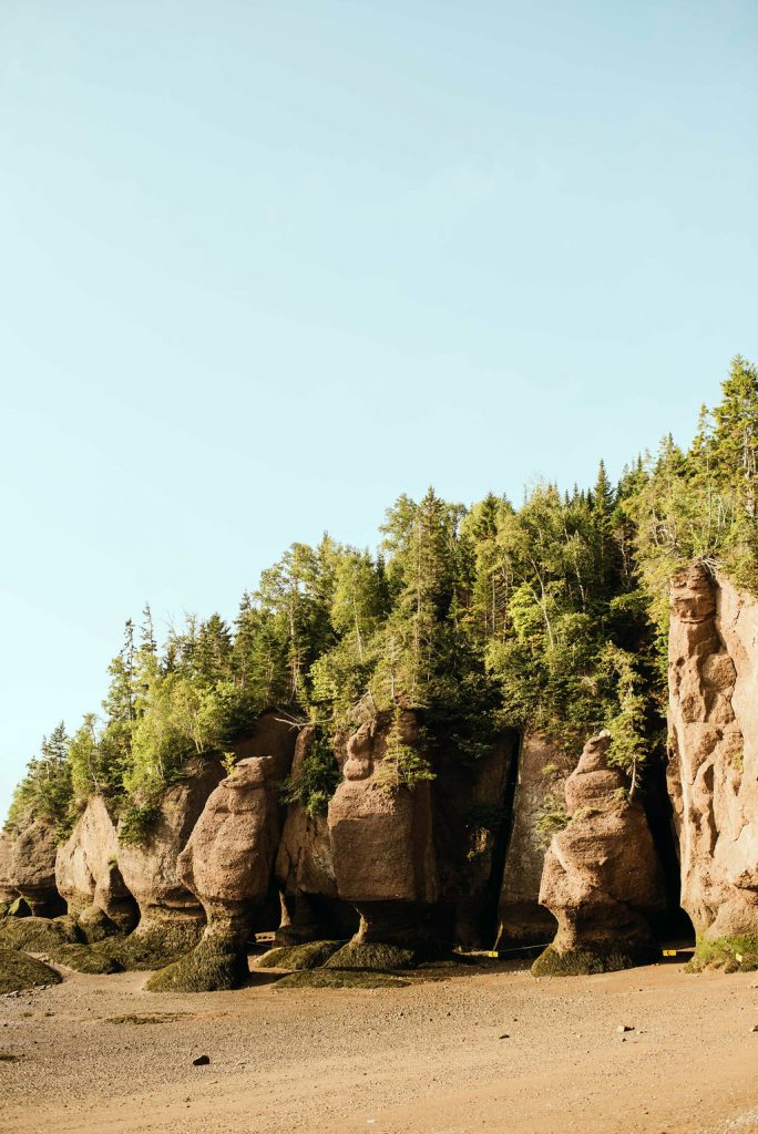 The rocky New Brunwisk coast at Hopewell Rocks at low tide
