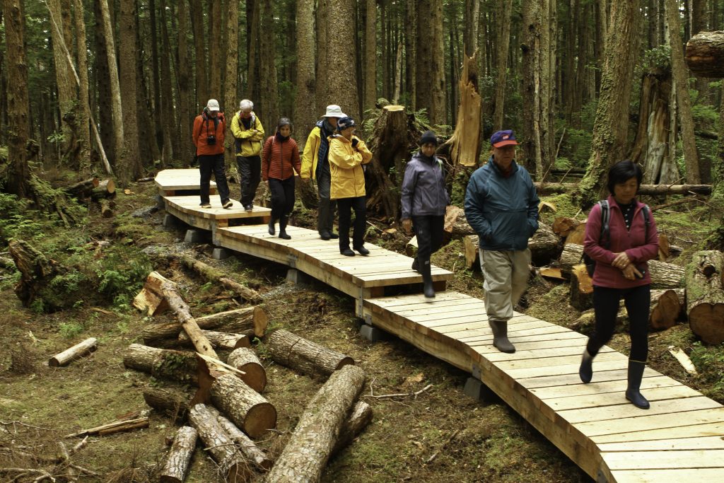 Adventurers walks down a wooden boardwalk in Haida Gwaii off the coast of British Columbia, Canada