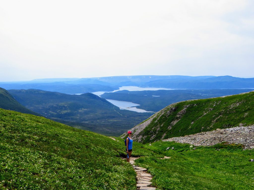 A young female hiker climbing near the summit of Gros Morne Mountain, in Gros Morne National Park, Newfoundland and Labrador, Canada. A gorgeous green valley of mountains and lakes are behind her.