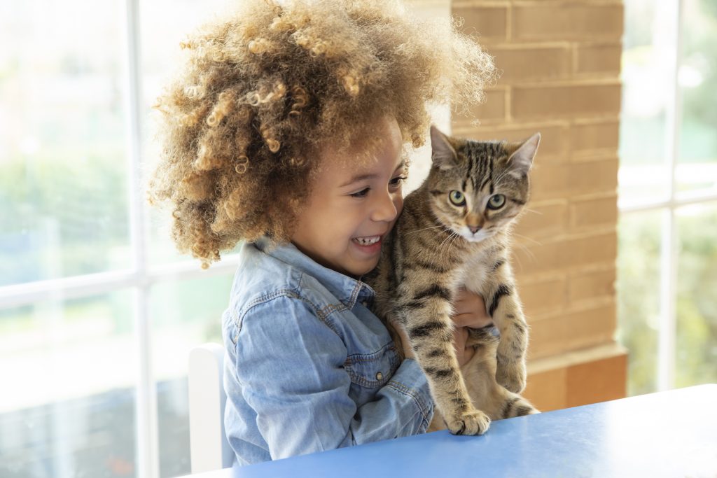 Young girl happily holds grey striped cat