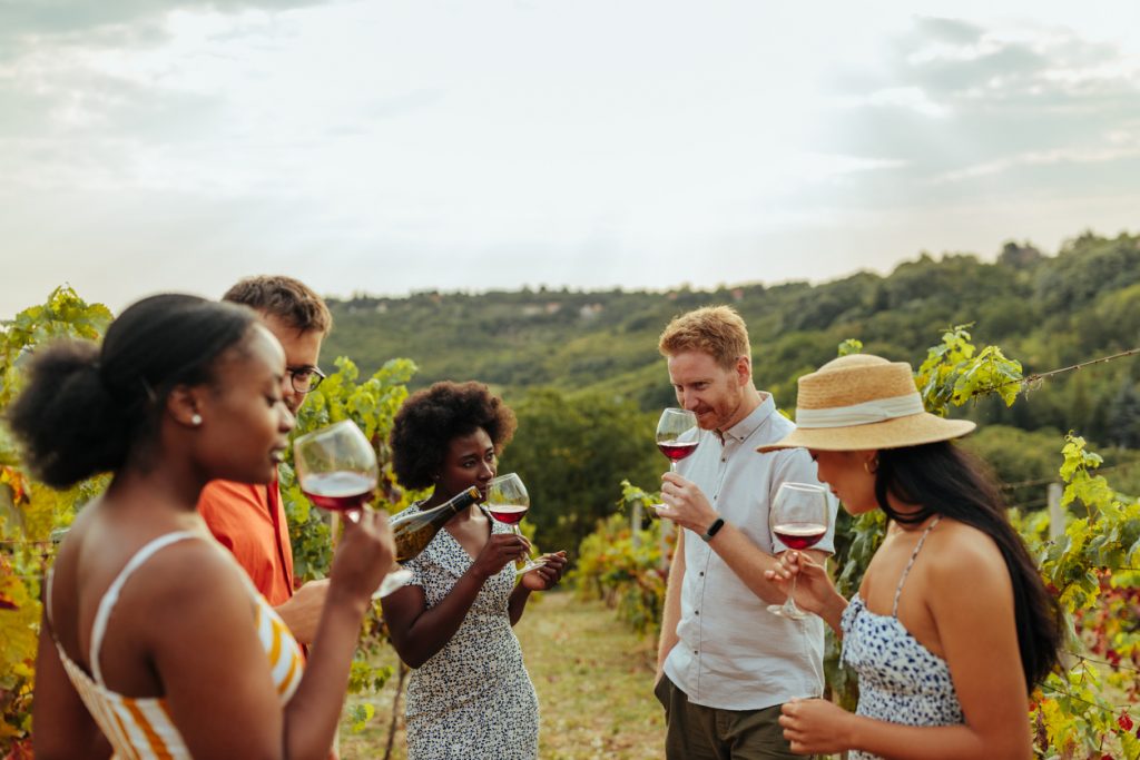 A group of friends enjoying a Niagara wine tour and tasting