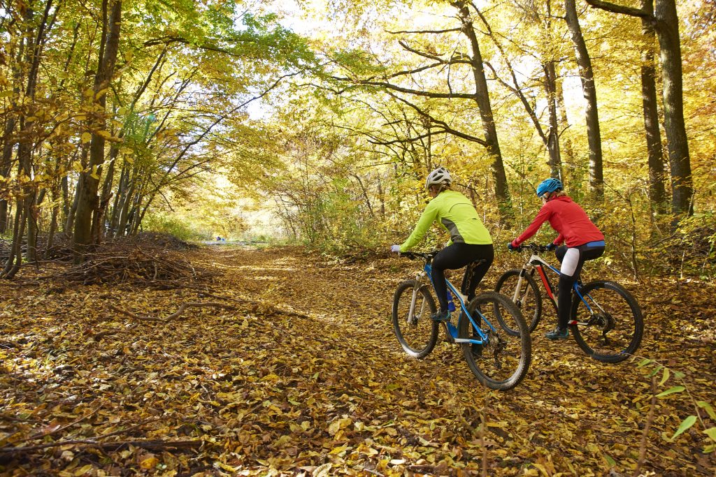 Two cyclists bike on a trail covered by fall leaves.