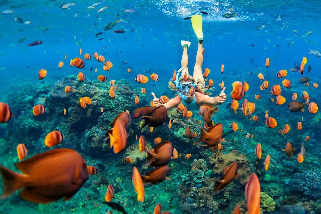 Girl snorkelling amongst orange fish