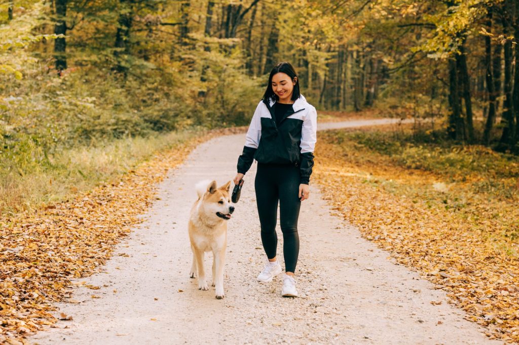 dog-friendly trails around Ottawa