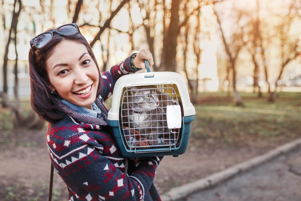 woman travelling with cat