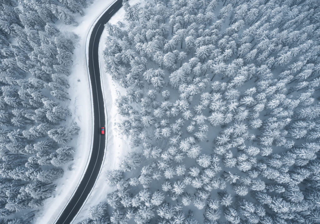 Driving In Snowcapped Forest