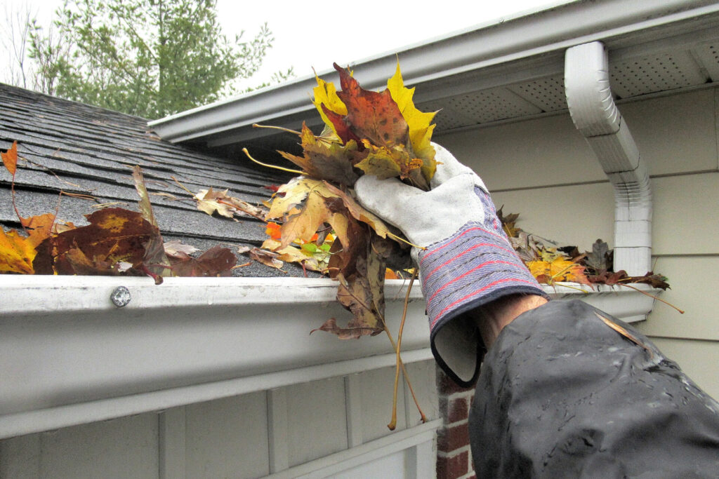 Clearing Autumn Leaves from Gutters