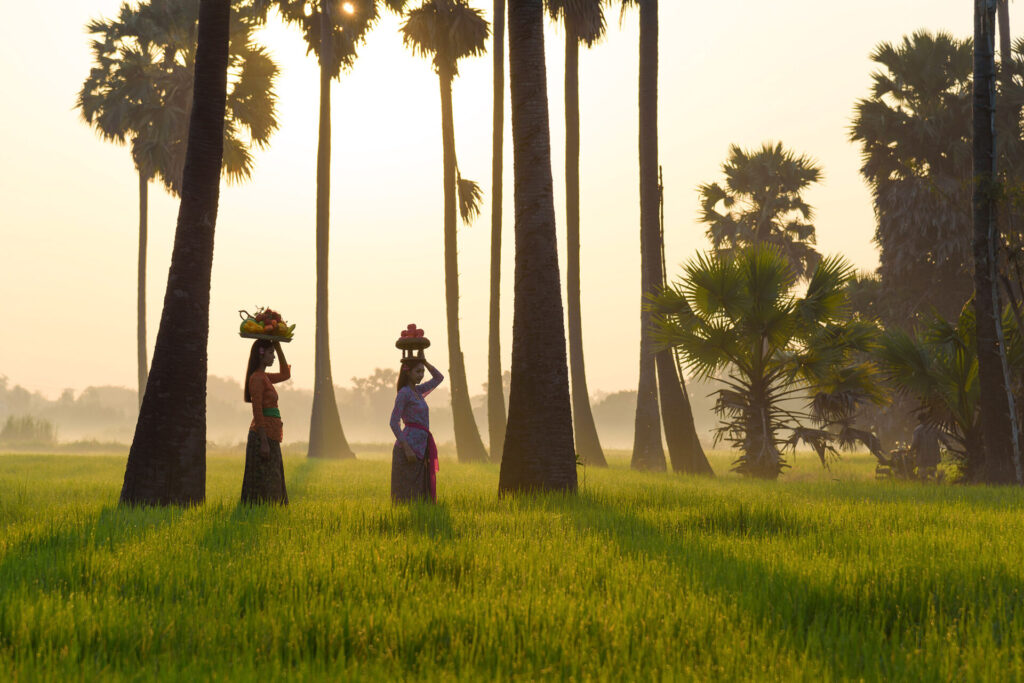 Asian women working in rice field during the morning in Bali, Indonesia.