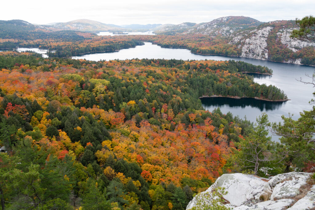 Autumn colors and lake view from The Crack lookout
