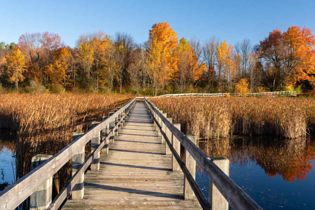 Fall colors in Ottawa, Canada
