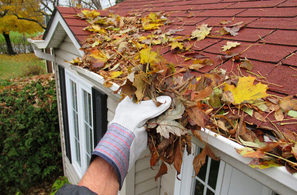 Home Maintenance, Clearing Gutters