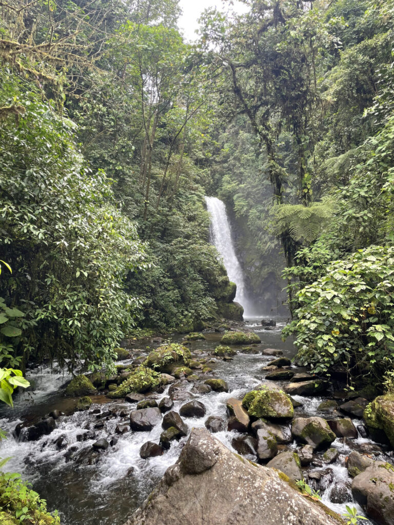 La Paz Waterfall Gardens Nature Park Alajuela Province Costa Rica