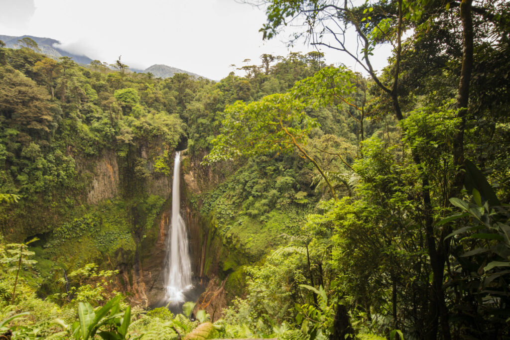 Scenic view of La Fortuna Waterfall and rainforest