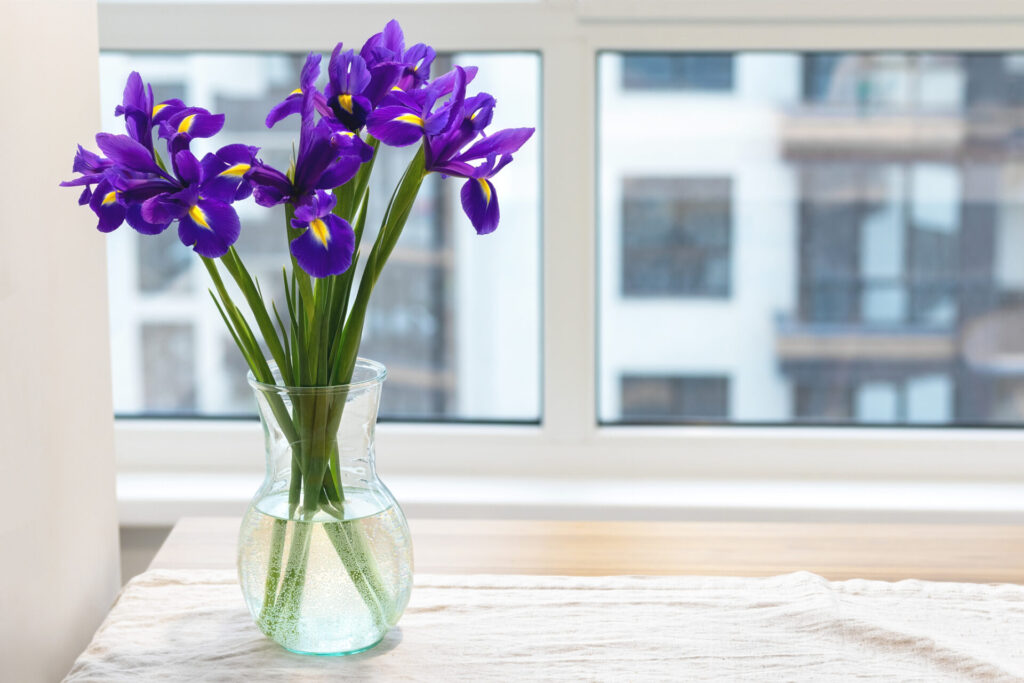 Bouquet of purple irises in a clear glass vase on a linen tablecloth on a wooden table by the window in a modern bright kitchen against a blurred background
