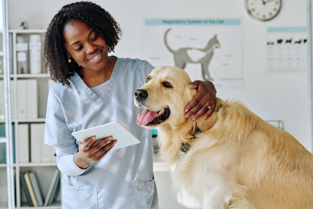 vet using tablet next to dog