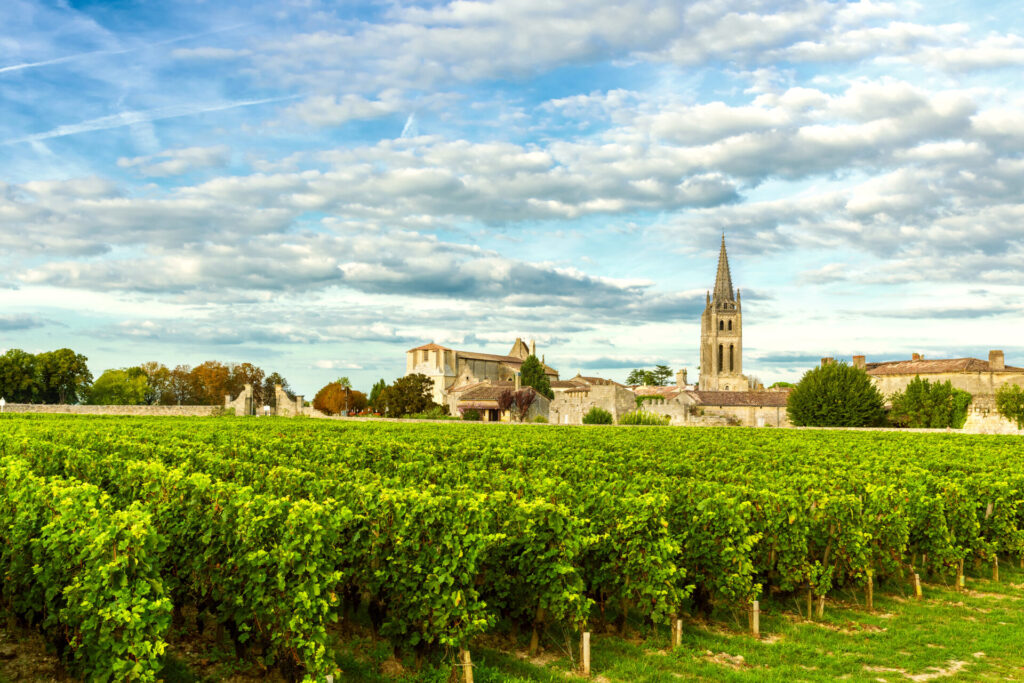 Vineyards of Saint Emilion, Bordeaux Vineyards in France