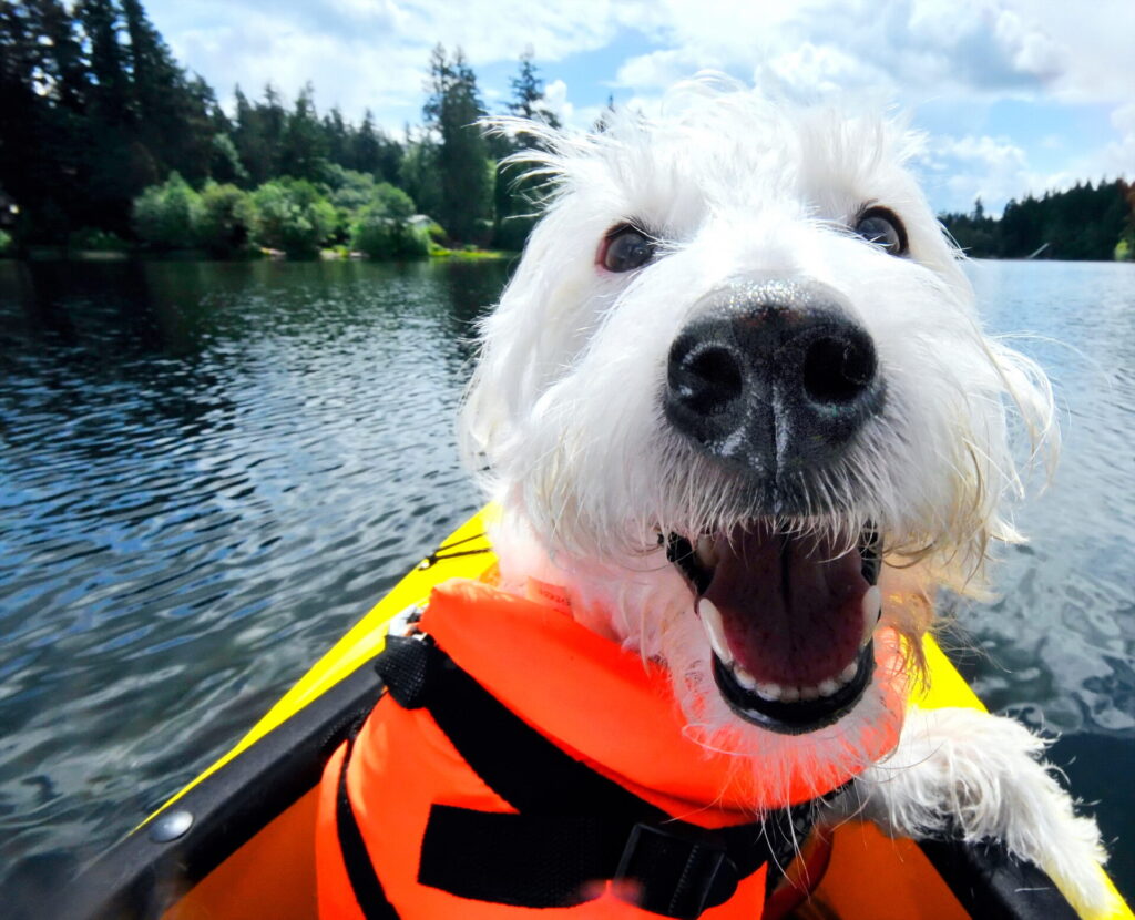 kayaking on Island Lake