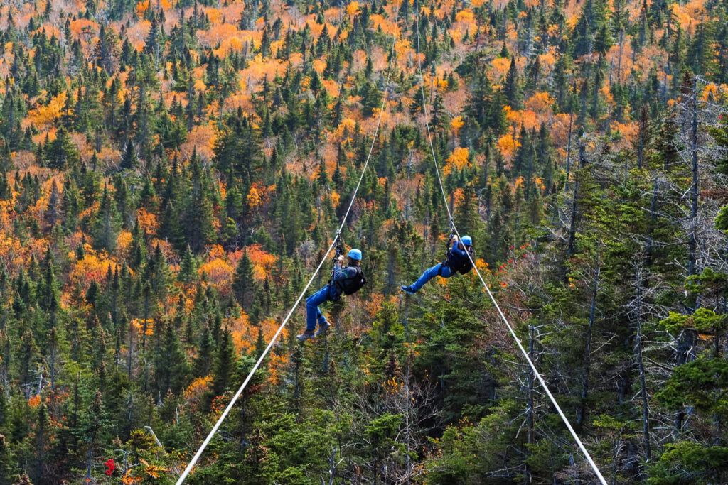 two people sliding down very long and fast zipline during autumn