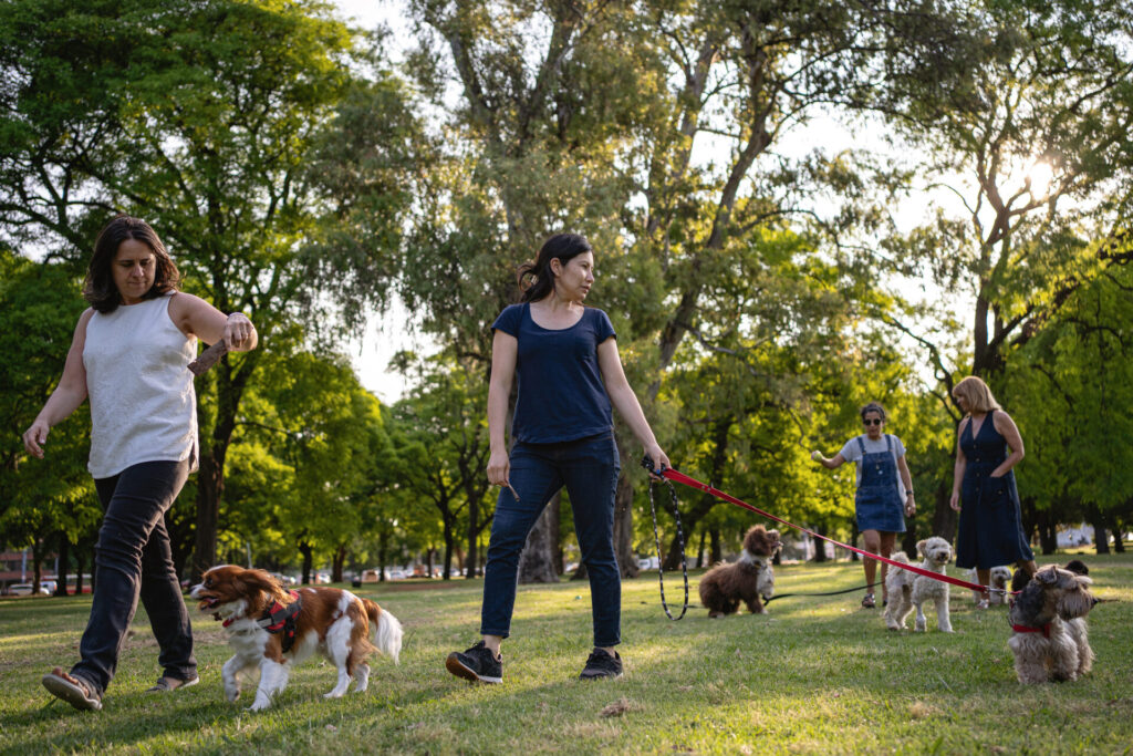 People walking their dogs