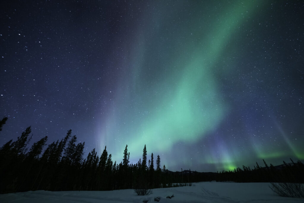 Aurora as seen from about 30 minutes south of Whitehorse in the Yukon